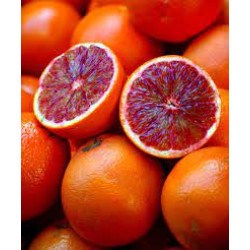 البرتقال - برتقال ابو دمه مطعم عمر 4 سنوات  suhol Autouemn1