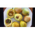 التفاح - تفاح الورد لون اصفر 60-70سم 