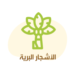 category الأشجار البرية