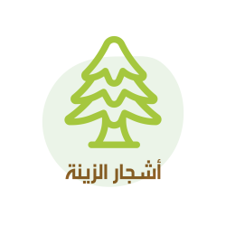 category أشجار الزينة