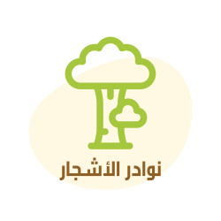 category نوادر الأشجار 