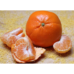 اليوسفي - يوسفي مغربي مطعم عمر سنه ونص