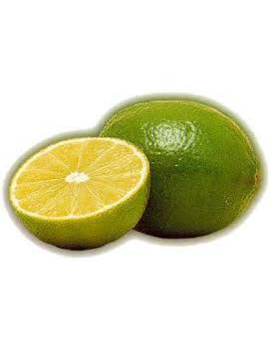 الليمون - ليمون مكسيكي مطعم عمر سنتين 