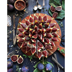 التين - تين بلاك ماديرا 20 - 30