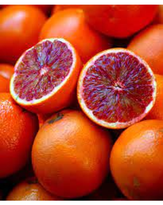 البرتقال - برتقال ابو دمه مطعم عمر سنه ونص