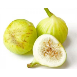 تين وايت مرسيليا 40 - 70