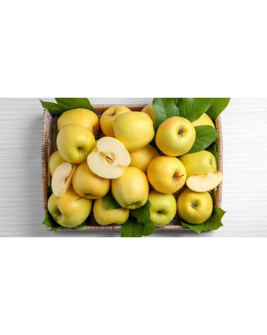 التفاح - تفاح قولدن اصفر سنتين ونص