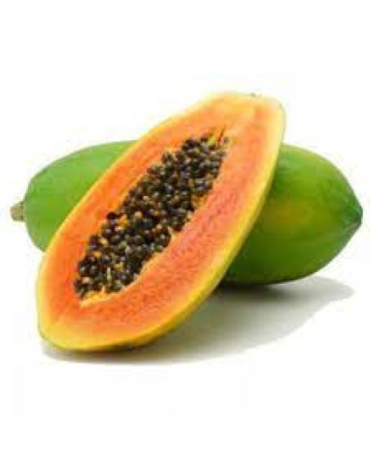 البابايا - بابايا ردليدي 50 - 90 سم