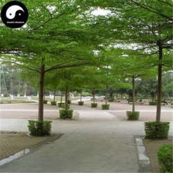 ترمناليا منتالي 180 - 230 سم ترمناليا منتالي 180 - 230 سم