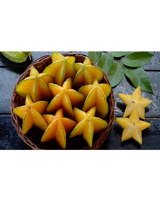 فاكهة النجمة 40 - 80 سم