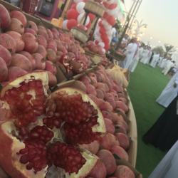 الرمان الشيحية - رمان شيحية 40 - 70