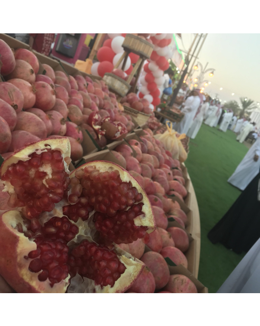 الرمان الشيحية - رمان شيحية 40 - 70