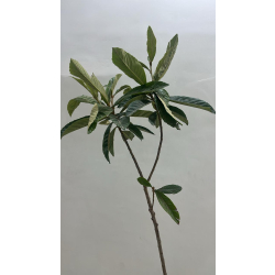 اسكدنيا - البشمله - بشمله مطعمة 130 - 160 سم