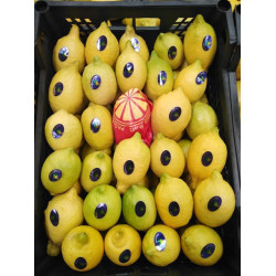 الليمون - ليمون شعير مطعم عمر 4 سنوات 