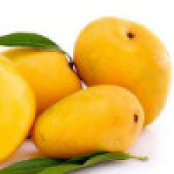 المانجو - مانجو زبديه مطعم عمر ثلاث سنوات  المانجو - مانجو زبديه مطعم عمر ثلاث سنوات