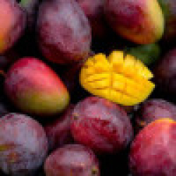 المانجو - مانجو سنسيشن مطعم عمر ثلاث سنوات المانجو - مانجو سنسيشن مطعم عمر ثلاث سنوات