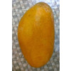 المانجو - مانجو ناعومي مطعم عمر اربع سنوت المانجو - مانجو ناعومي مطعم عمر اربع سنوت