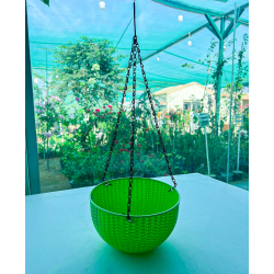 مركن علاق اخضر فاتح قطر 21 سم × ارتفاع 17.5 سم