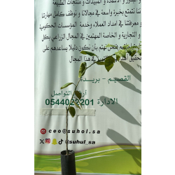 يوسفي كمثراوي مطعم عمر سنه ونص